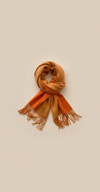 Two-Tone Tassel Winter Scarf